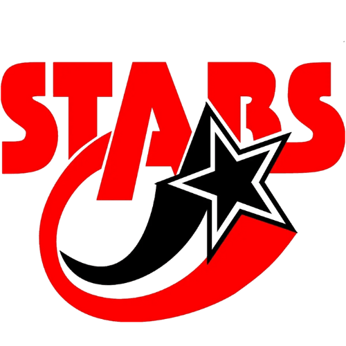 Markham Stars Logo